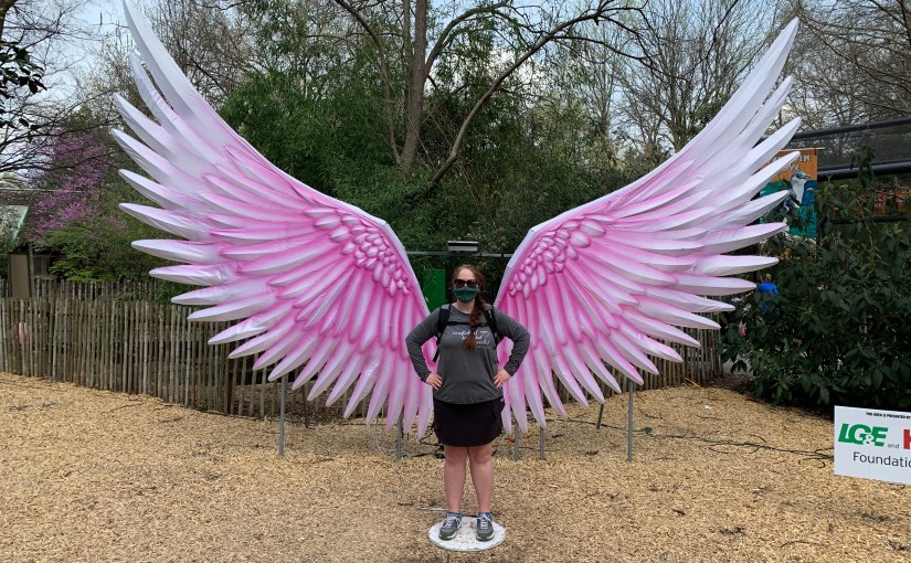 Random Sunday Thoughts